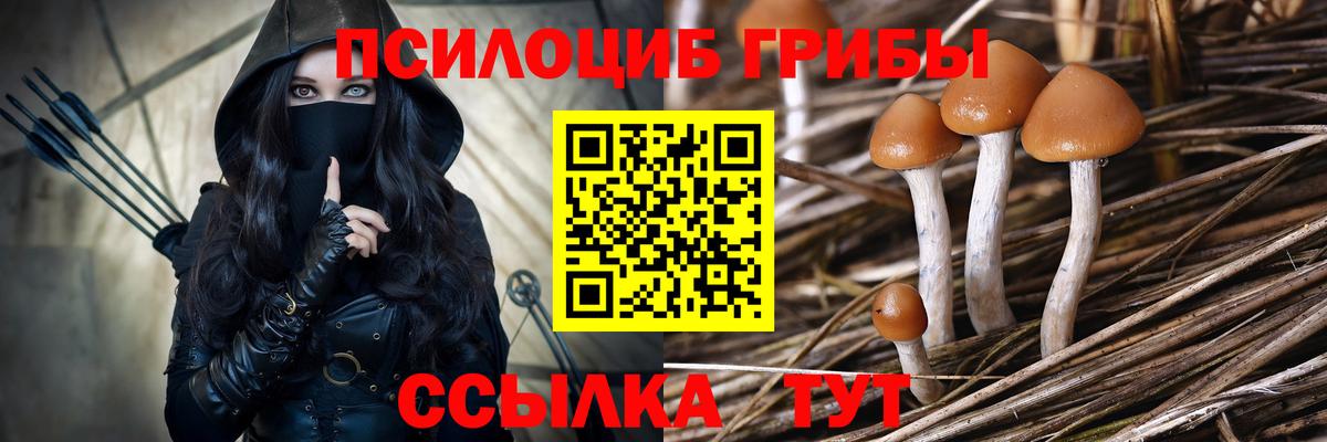 Тосно  Галлюциногенные грибы мицелий  Вход с VPN 